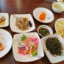 코다리안 이미지