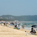 대천해수욕장 이미지