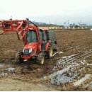 영주볏짚 이미지