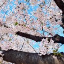 예술회관역 11번출구 이미지