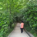 미암공원 이미지