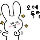 이로리센 이미지