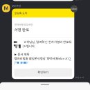 [W1] 광주 본식DVD 멜러브필름 계약 후기 (추천인코드 27092512, 견적 O)