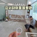 강서동물병원 | 청주 강서하이동물병원 세 번째 방문, 믿고 다니는 우리 아이 병원🐾