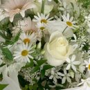 사파동103 이미지