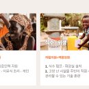 월드비전여행사
