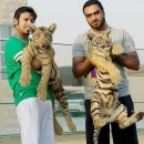 호랑이성인PC 이미지