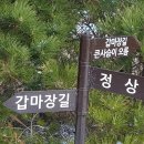 260630 - 마지막 연인/ 봄/사랑이 이런 건가요 이미지