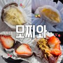 대전 용문동 카페 모찌와 과일모찌 존맛 내돈내산 후기