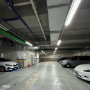 안녕강아지 | 하남 미사 실내 애견 카페 놀이방 안녕, 강아지 주차 등 후기