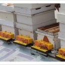 병순농장 이미지