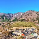 영남알프스(천황산 재약산) 무박(10월24(금)~25(토)) 정기산행-취소후 한양도성길 대체 이미지