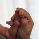 차오름로 | [아기 50일촬영] 마틴스쇼룸 인천점 테디베어 컨셉 솔직후기🐻💗