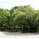 숲속가든 - 금산군 | 숲속가든