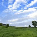 보리목장 이미지