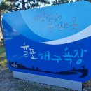 보성회수산 이미지