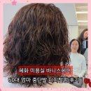 대명길 | 혜화 미용실 바니스헤어 60대 중단발 디지털펌 클리닉 후기 주차 (지연 디자이너)