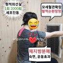 더핏다이어트