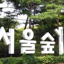 별푸른밤 이미지