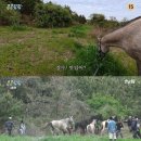 팜팜푸드