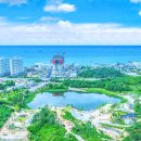 애견취향 이미지