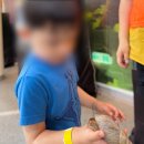 북서울 꿈의 숲 곤충체험전, 아이와 다녀온 생물대탐험 후기