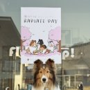 레디에이트(RADIATE) 이미지