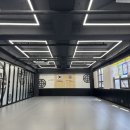 선태권도 이미지