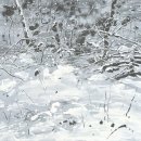 (주)에피도코리아 | 케이컬쳐프로텍터