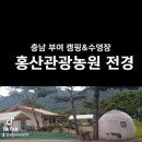 충남부여 캠핑&수영장 홍산관광농원 전경 이미지