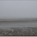 대부도관광안내소 이미지