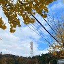 be better fitness 이미지