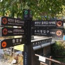 강북구견인차량보관소 이미지