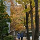 부흥어린이공원 이미지