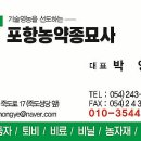 포항농약종묘사 네이버블로그