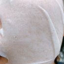 더 코스모스