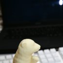 곰탱이슈퍼