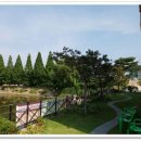 돌담한식부페 이미지