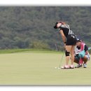 미녀 골프 박결 선수 의 퍼팅 모습 이미지
