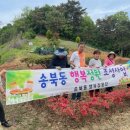 꽃내음가득 이미지