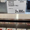 트라이플 이미지