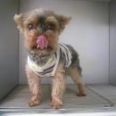 파란종합 동물병원 이미지