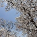 닭갈비 | 가평 닭갈비 맛집 ‘한옥닭갈비’‘ 후기