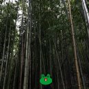 밀양아리랑펜션 | 밀양여행 2일차_밀양댐 포토존, 단골집(밀양 아리랑시장 국밥), 용평터널, 호박소계곡, 홍릉불고기