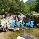한국기행/ 물 만난 여름 - 제1부. 비밀의 계곡 ~ 제5부, 원시의 물길따라 이미지