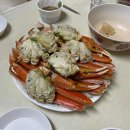 오두리포차 이미지