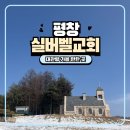갑순이농장 | 평창 가볼 만한 곳 아이랑 가기 좋은 실버벨교회