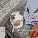 CU(상서동) 이미지