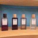 로에베 퍼퓸 LOEWE 더현대 서울 팝업 스토어 향수캔들 후기,혜택