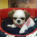 마린시티종합동물병원